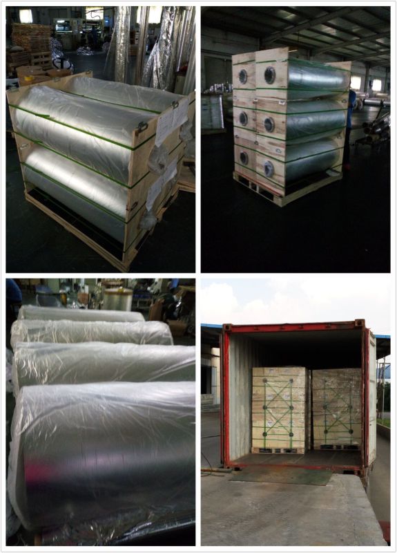 Metallized Mylar Polyester Film for Food Packing