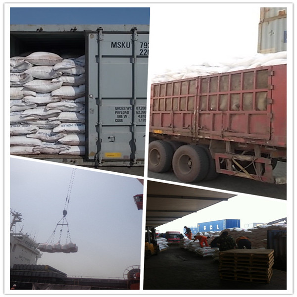 High Quality Urea 46% (Prilled and Granular)