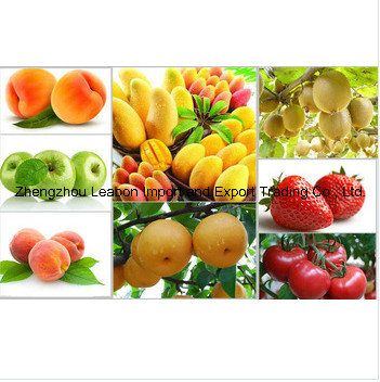 Professional Fruit Juice Machine for Sale