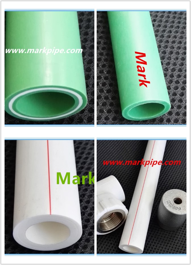 100% New Material PPR Pipe for Water