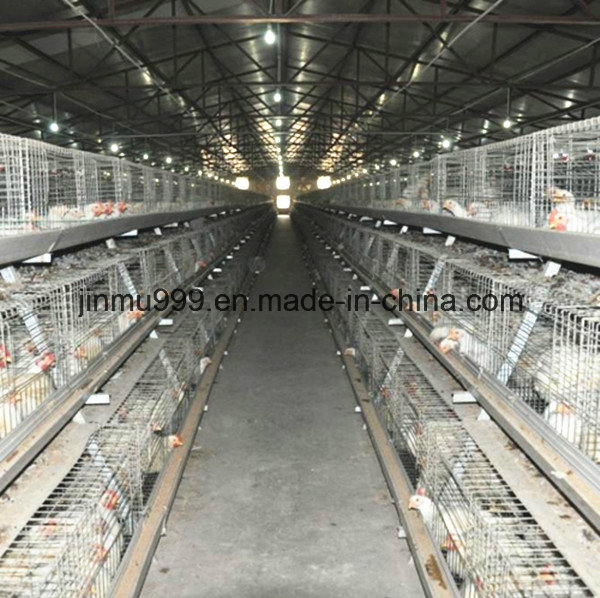 Automatic Poultry Equipment Chicken Cage for Farm Use