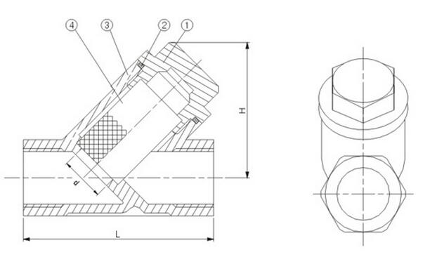 Stainless Steel 304/316 Y-Type Filter with Female Thread