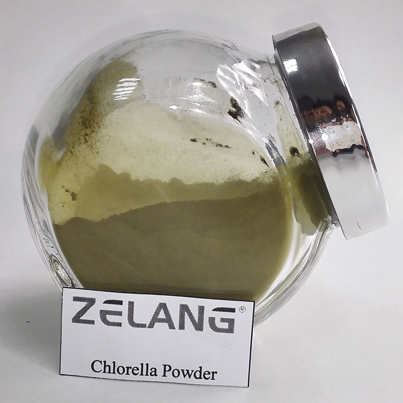 Wholesale Bulk Chlorella Powder Broken Cell Wall Chlorella