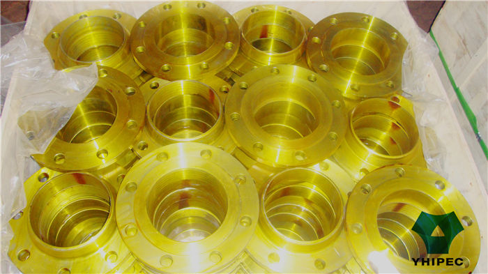 ANSI / Asme / DIN / BS / En Alloy Steel Flange