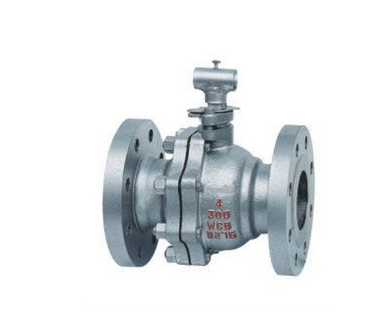 Manual Operated Stainless Steel Ball Valve