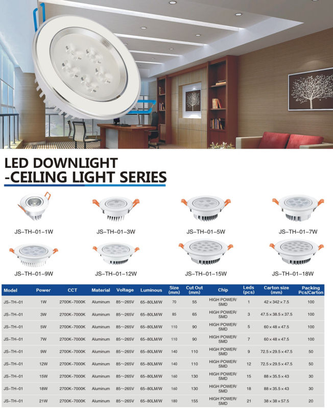 LED Lighting Downlight