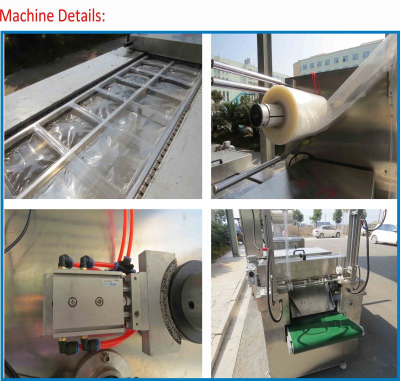 Seafood Vacuum Packaging Machine