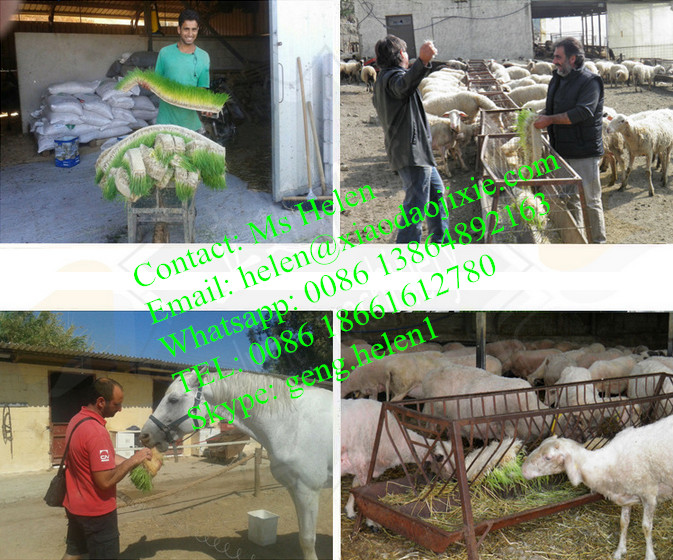 Commercial Hydroponics Machine/Bud Seedling Machine/Animal Fodder Machine