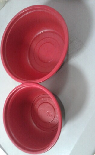 Red Lunch Plate (HL-156)