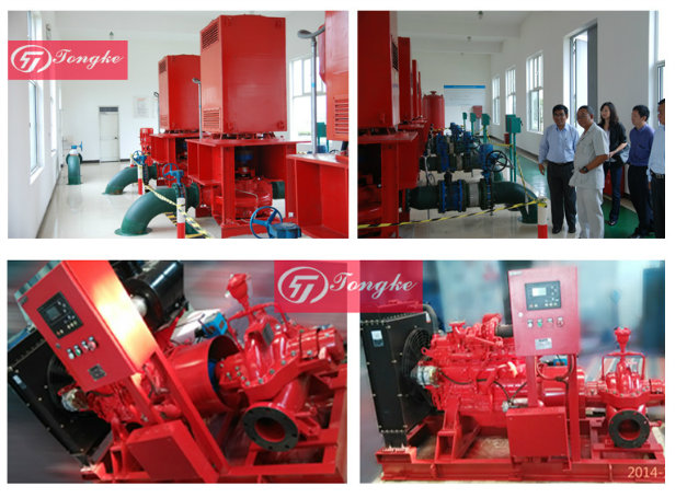 High Pressure Horizontal Multisatge Diesel Engine Fire Fighting Pump