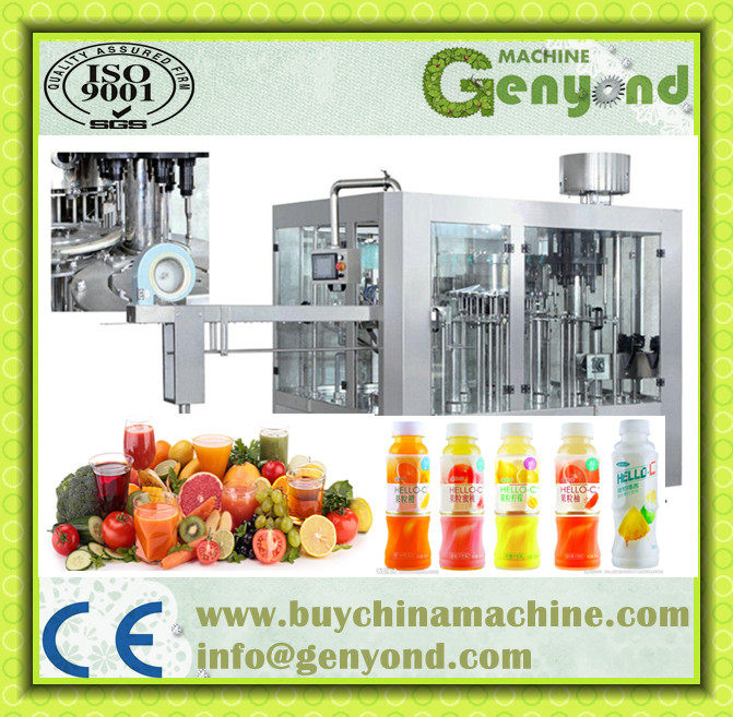 Full Automatic Vegetable Fruit Juice Making Machine