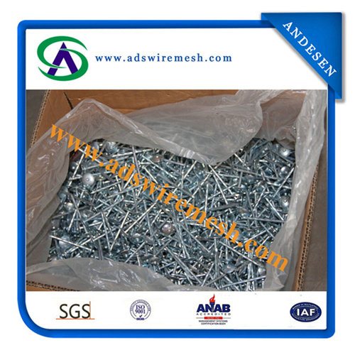 Galvanized Roofing Nail / Roofing Nails / Corrugated Roofing Nails Manufacturers in China