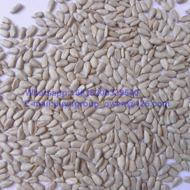 Lady Nail Top Quality Sun Flower Seeds Kernel