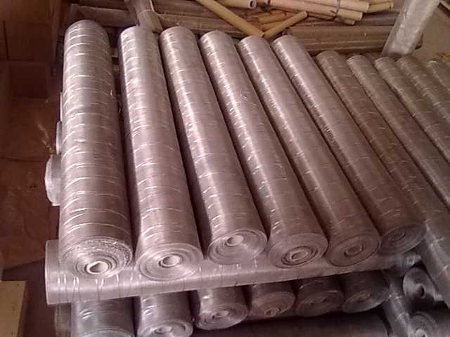 Galvanized Iron Wire Mesh (HDS01)