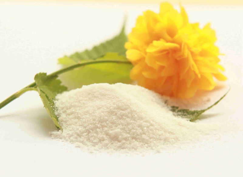 Sodium Gluconate for Turkey Market Industry Grade 98.0% Purity