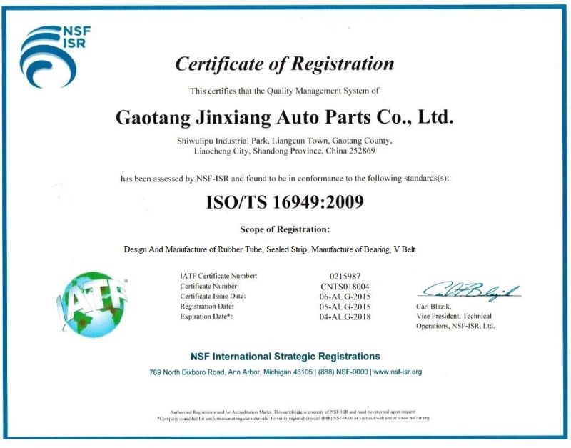 Made in China OEM Bearings- Rolling Bearing