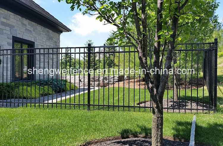 Powder Coated Metal Picket Residential Fencing