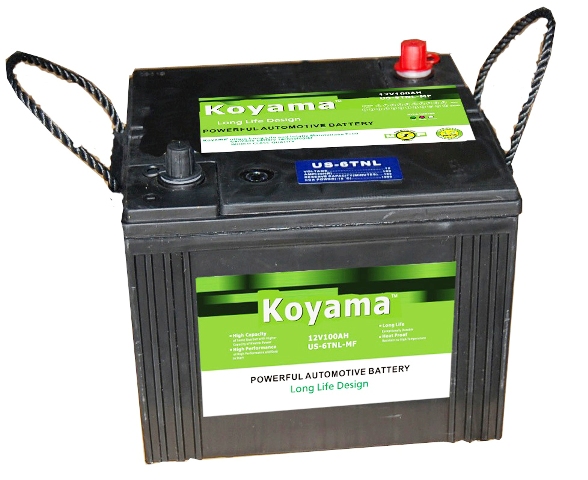 Reliable and Professional 12V100ah Sealed Maintenance Free Batteries for Truack/Boat