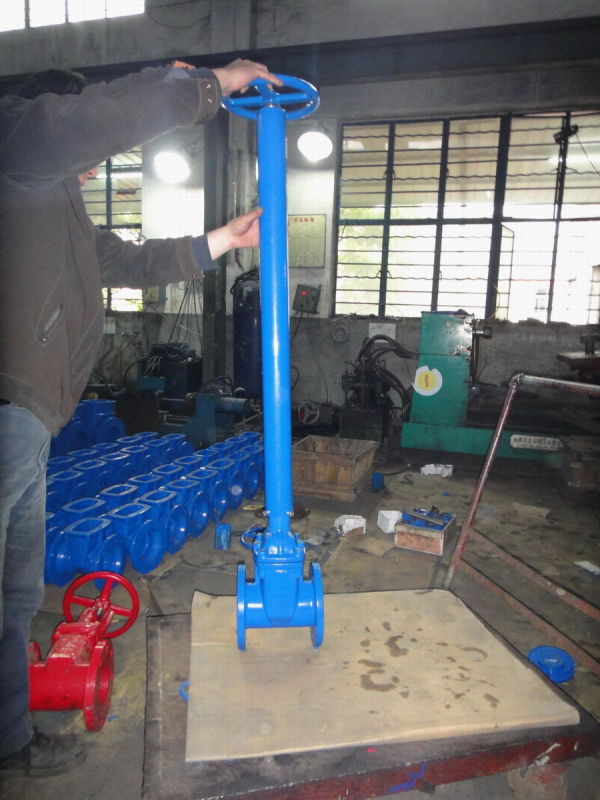 Resilient Seated Gate Valve with Extension Spindle