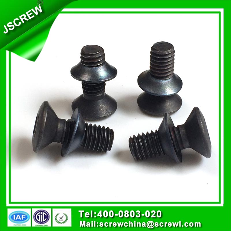 Torx Flat Head Black Anti-Theft Screw