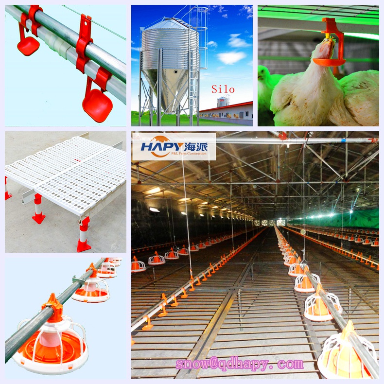 Customized Automatic Equipment for Chicken House with Good Quality