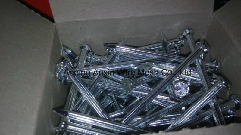 Galvanized Steel Nails