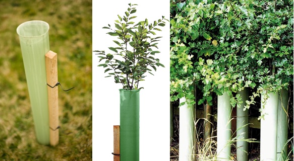 Plastic Tree Guard / Plant Tree Guards
