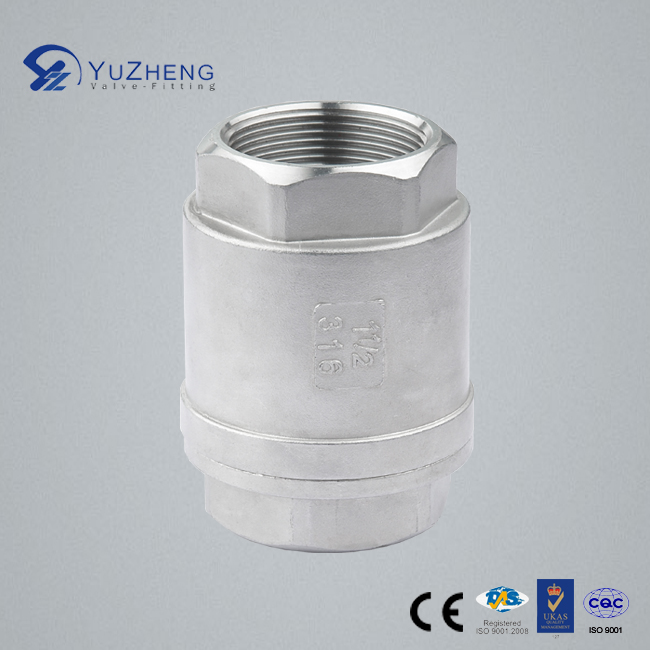 Stainless Steel Check Valve