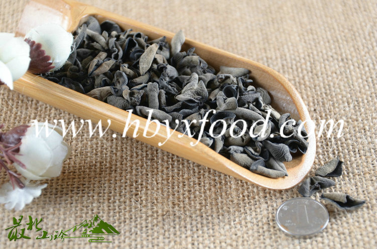 Chinese Tree Ear Fungus Black Fungus Mushroom