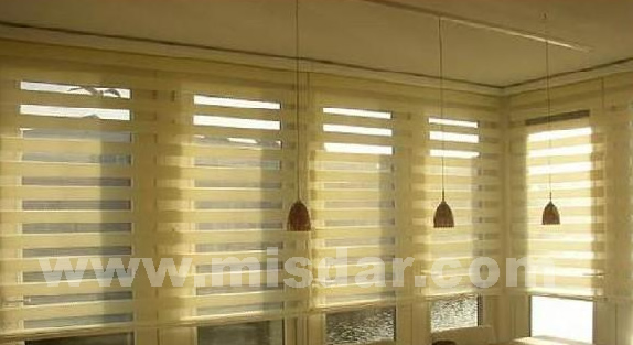 Zebra Roller Blind with New Style Design