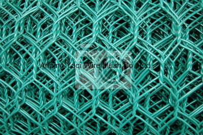 Chicken Wire Mesh Chicken Wire Netting Sizes China Supplier