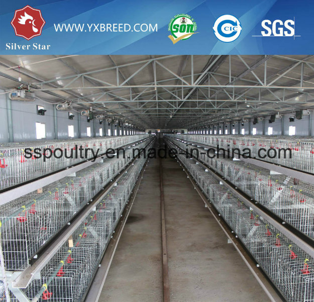 Kenya Chicken Cages / Layer Cages or Brooder Cage