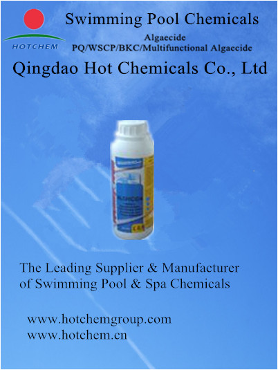 High Quality Factory Supply Various Packages Pool Algaecide for Sale