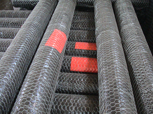 Chicken Wire for Poultry Fencing (CTM-1)