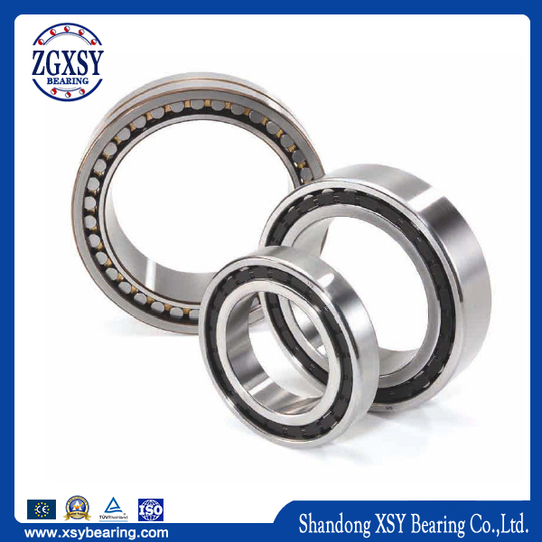 NF Series Cylindrical Roller Bearing