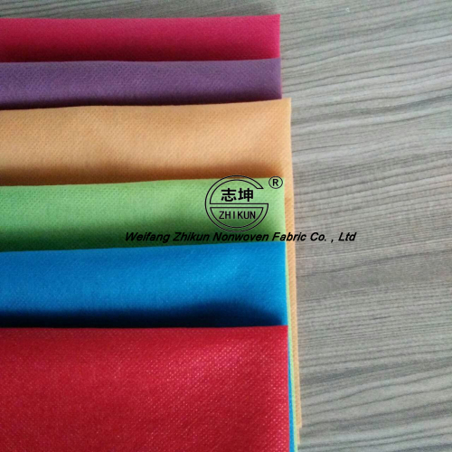 PP Non-Woven Fabric for Fashion Shopping Bag