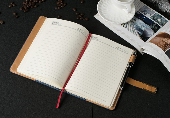 2016/2017 Embossed Leather or PU Covers Daily Planner Diary and Notebooks