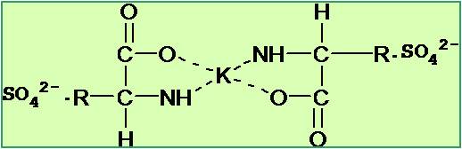 Hot Sale Amino Acid Potassium Organic Fertilizer