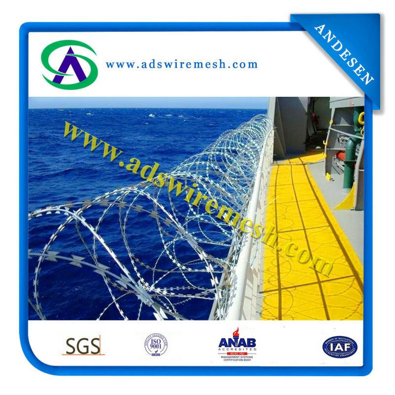 Razor Barbed Wire (Galvanized and SUS)