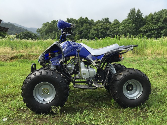 110cc Sports ATV with Full Automatic Gears for Kids