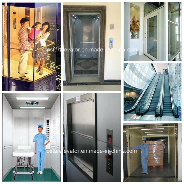 320kg Villa Passenger Elevator, Home Lift for 4 Persons