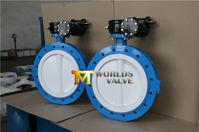 PTFE Lining Full Lug Type Butterfly Valve (D41X-10/16)