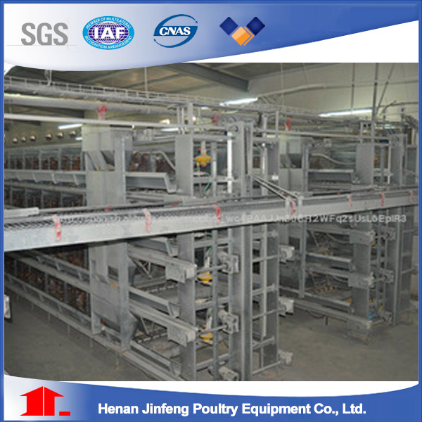 China H and a Type Automac Poultry Chicken Cage for Farm