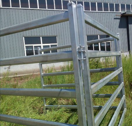 Hot Dipped Galvanized Cattle Horse Panels for Racecourse Use