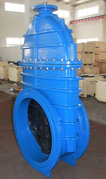 Resilient Seated Gate Valve, En1074 F4