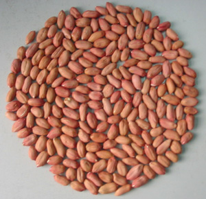 2015 New Crop Red Skin Peanut Kernels