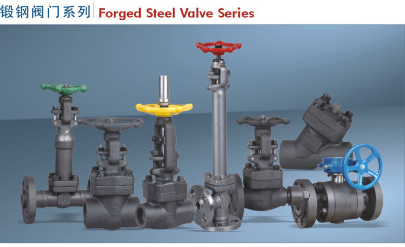 API 602 Forged Steel Valves Accept OEM