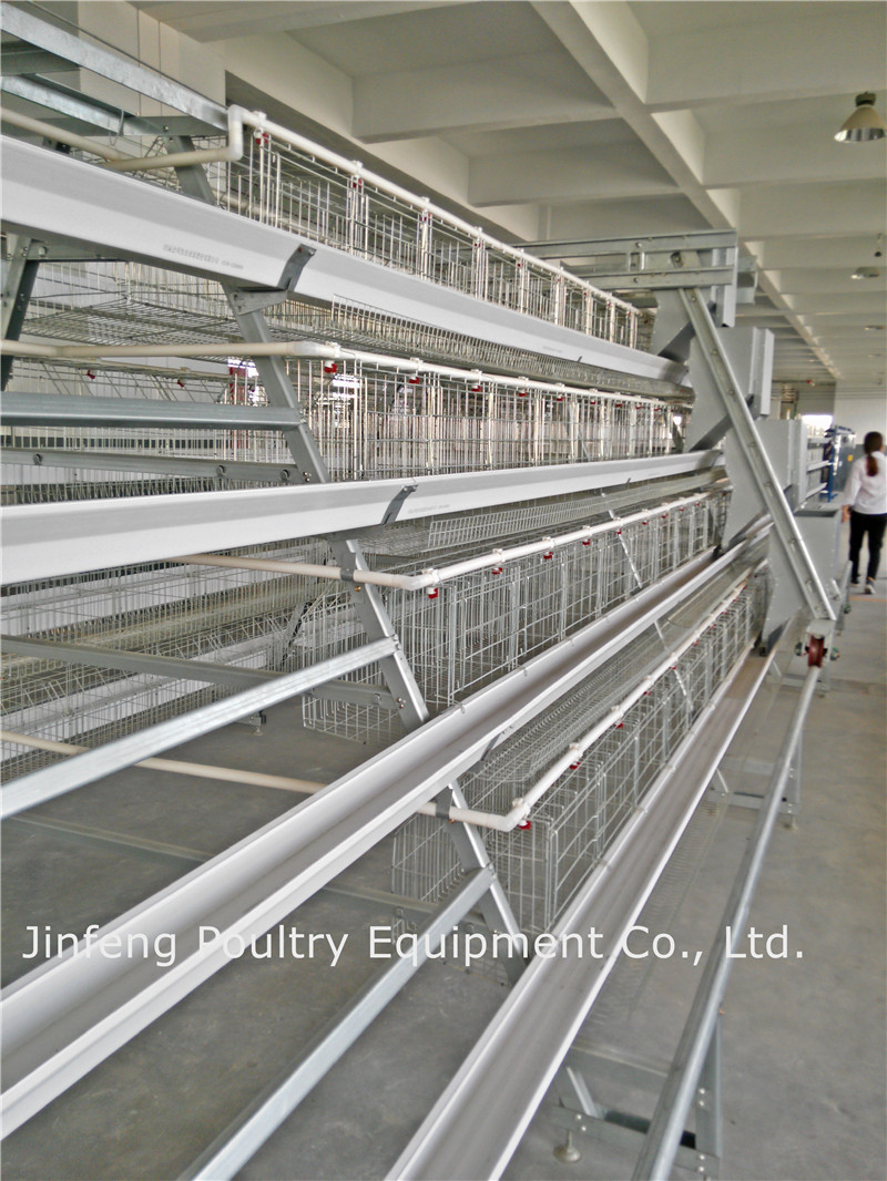 Automatic Poultry Equipment Chicken Frame Cage on Sell (JFA90)