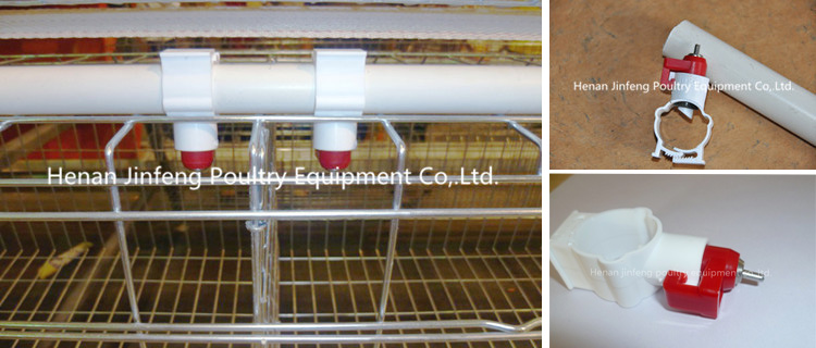 Hot Sale Chicken Cage for Broiler/Layers