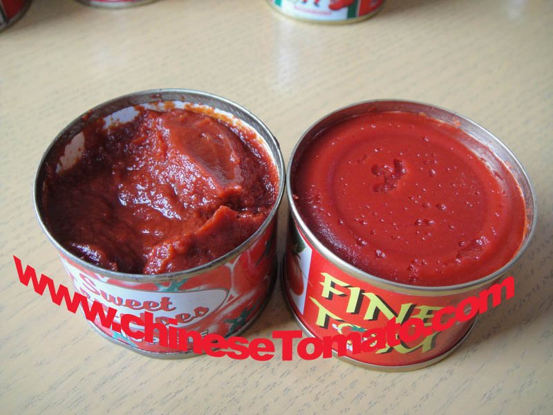 70g, 210g, 400 G Double Concentrated Canned Tomato Paste of Vego Brand